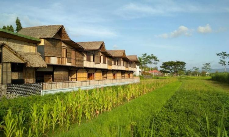 Penginapan Murah di Jogja