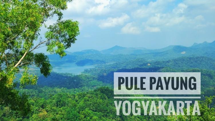 Pulepayung | Foto, Lokasi, Rute, Tiket Masuk & Fasilitas