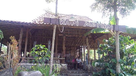 Sensasi Nyruput Kopi di Lereng Merapi