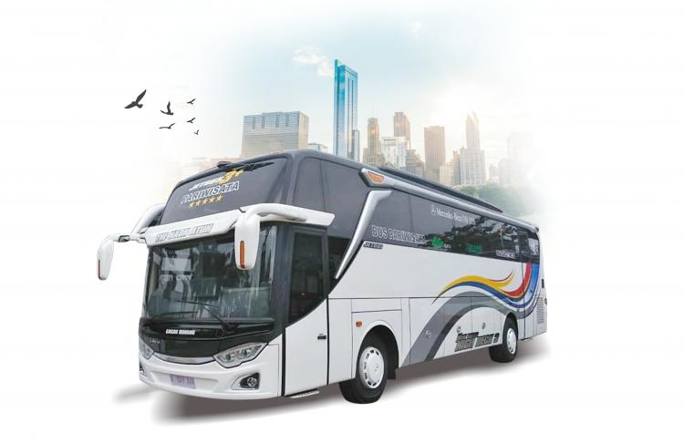 Big Bus Setra & SHD