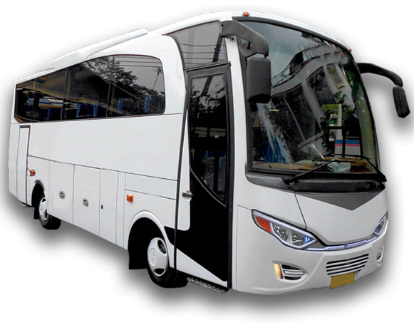 Medium Bus